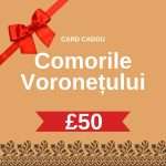 The Treasures of Voroneț